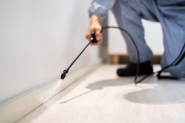 Bed Bug Pre-Treatment Preparation Assessment in Sun City West