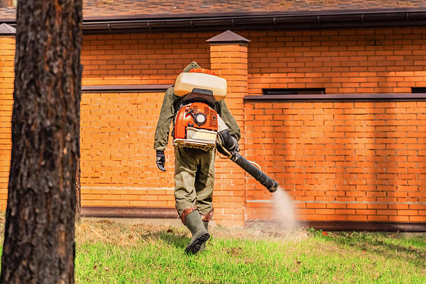 Bed Bug Clearance Verification and Documentation in Sun City West